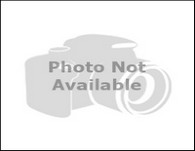 PHOTO NOT AVAILABLE RIGHT NOW